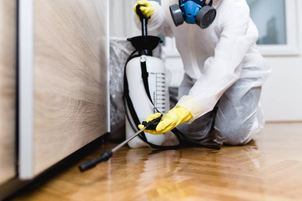 Best Pest Prevention Services  in Sunset Hills, MO