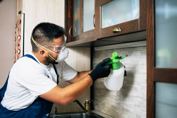 Best Pest Prevention Services  in Sunset Hills, MO