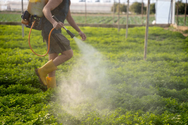 Reliable Sunset Hills, MO Pest Control Solutions