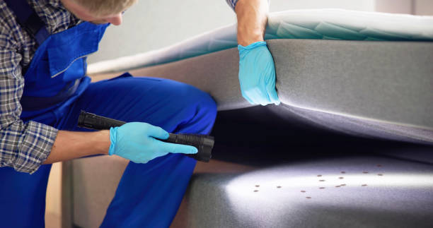 Best Mosquito Control Services  in Sunset Hills, MO