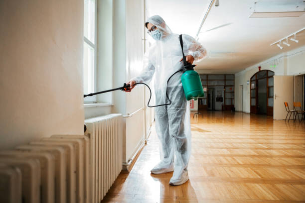 Best Wasp Removal Services  in Sunset Hills, MO