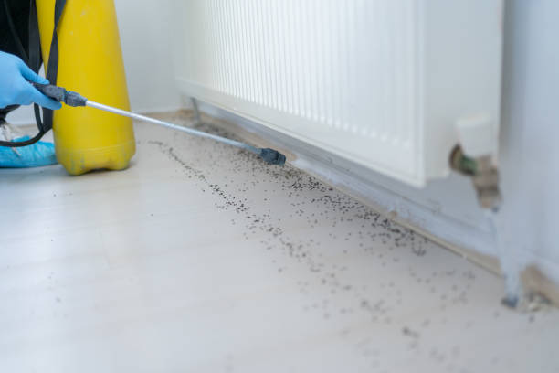 Best Mosquito Control Services  in Sunset Hills, MO