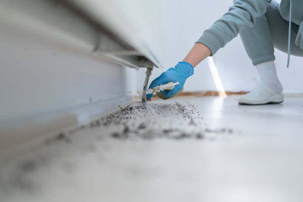 Pest Control Cost in Sunset Hills, MO